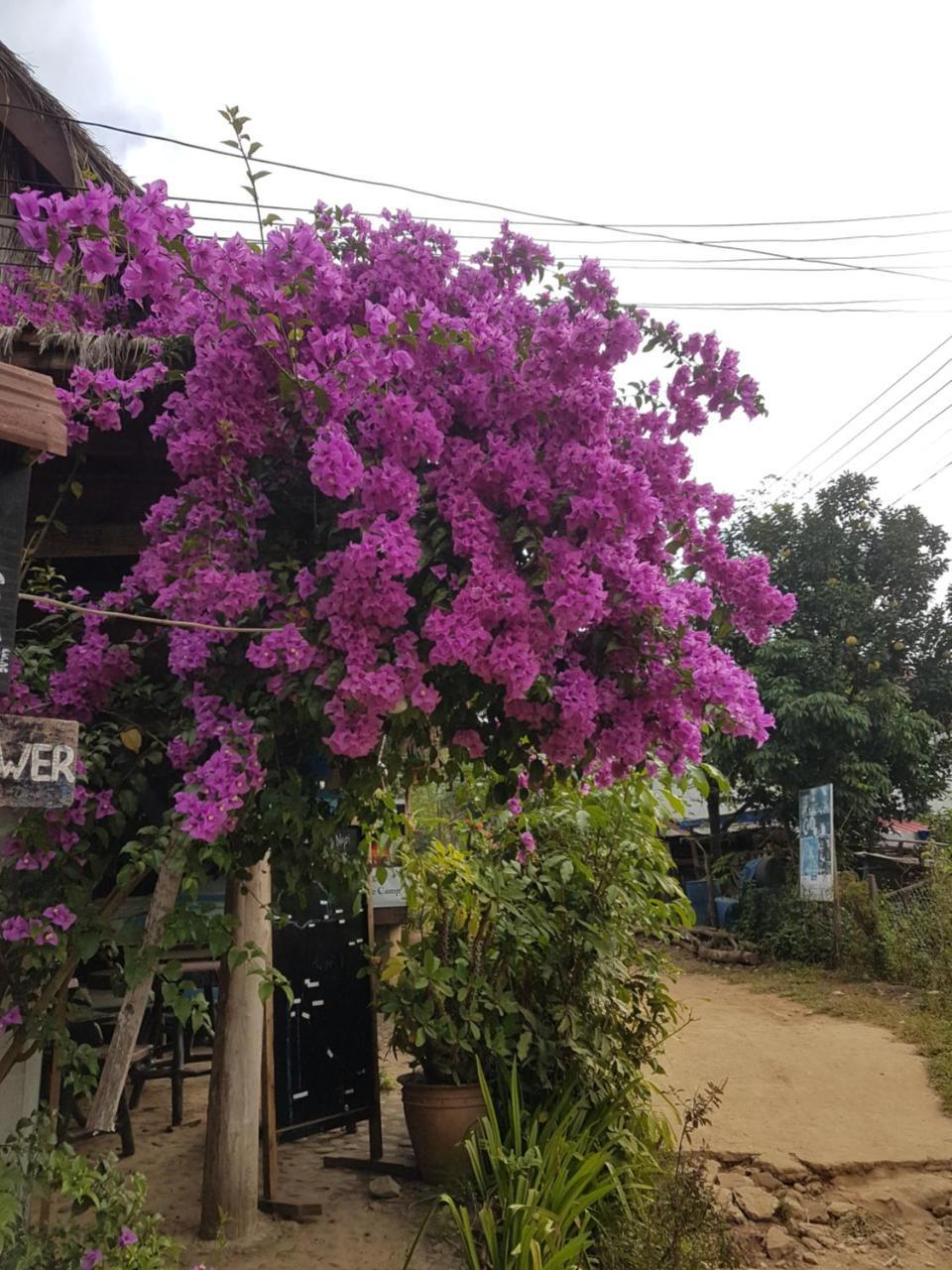 Lattanavongsa Guesthouse And Bungalows Muang Ngoi Esterno foto